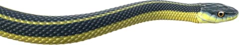 Aquatic Garter Snake — Diablo Range Garter Snake