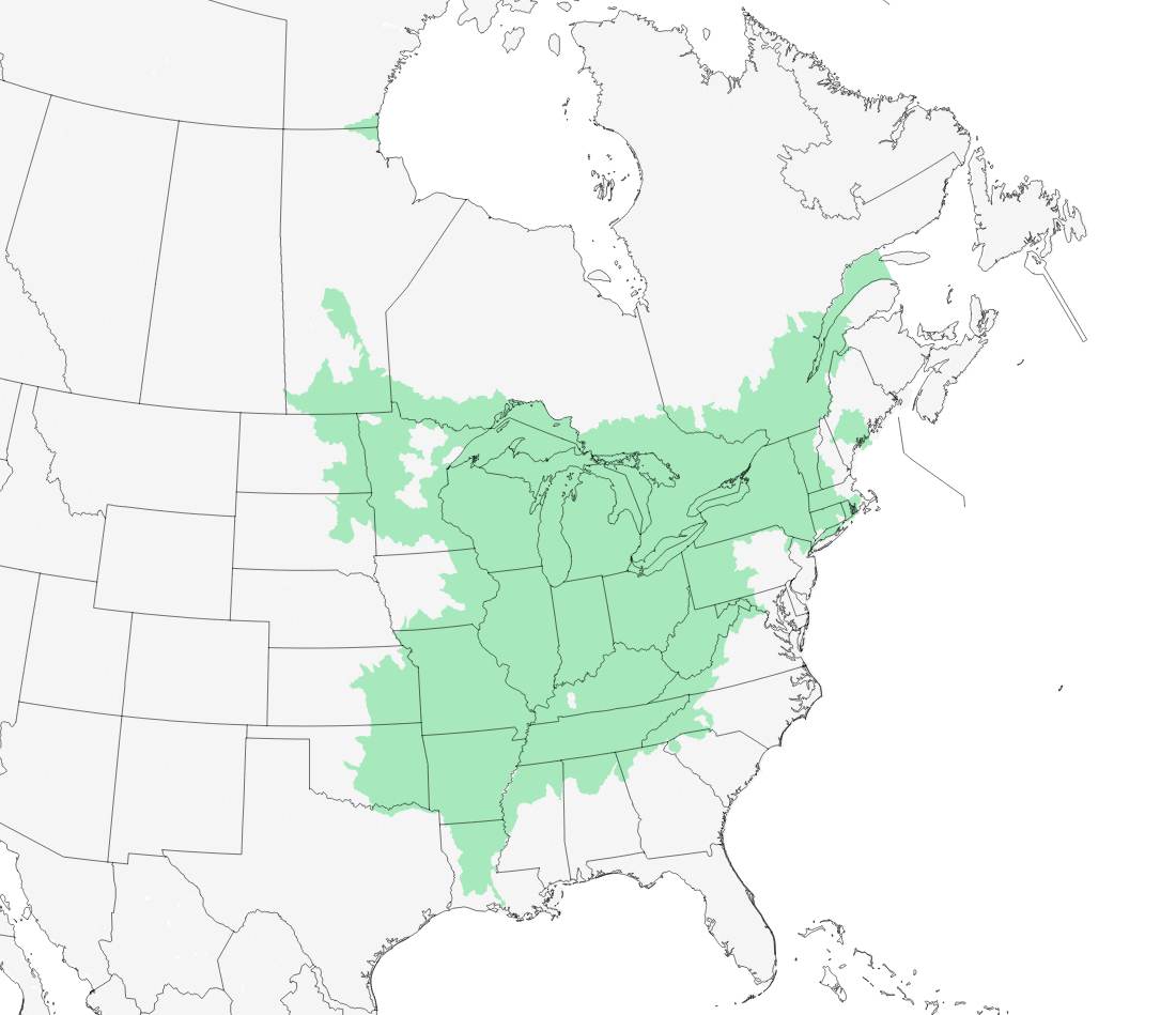 Range map for Common Mudpuppy