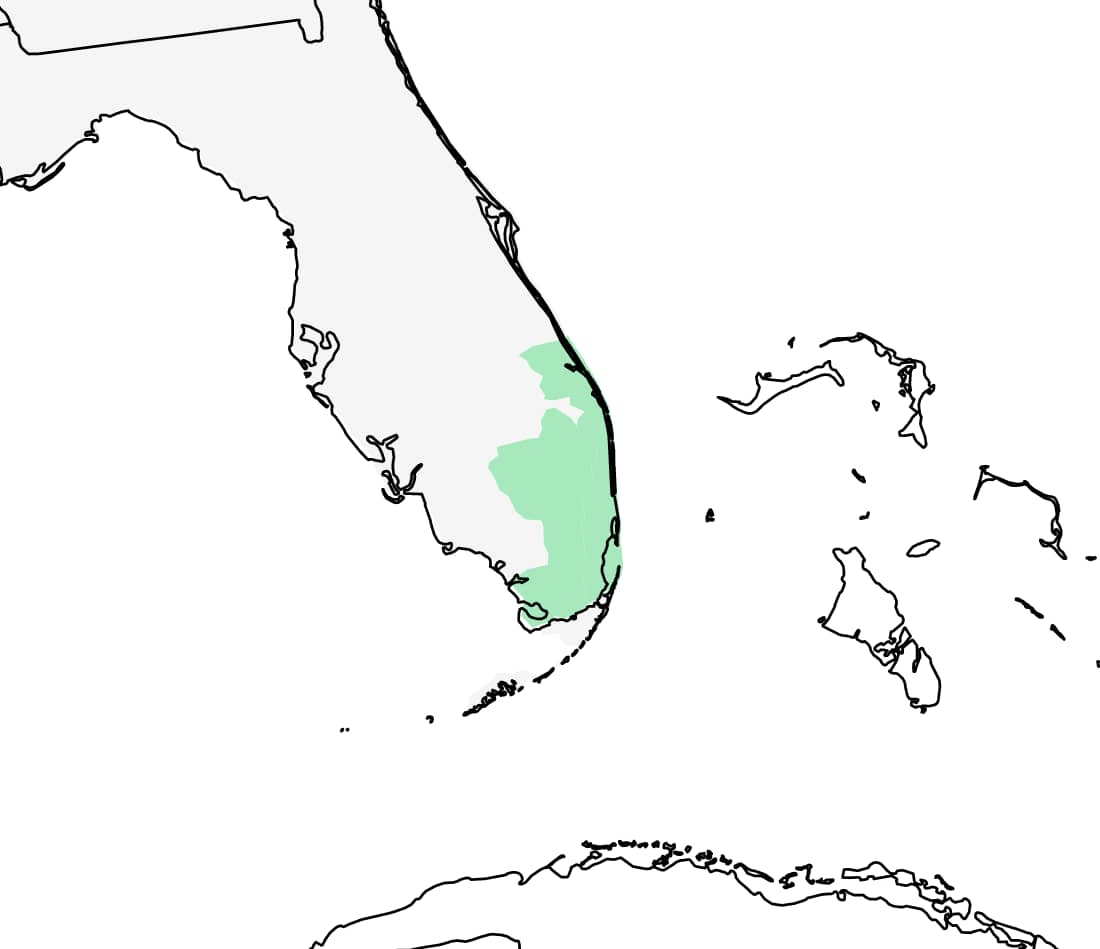 Range map for Hispaniolan Stout Anole
