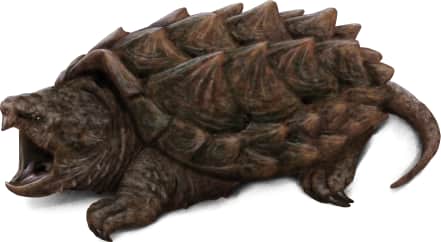 Alligator Snapping Turtle