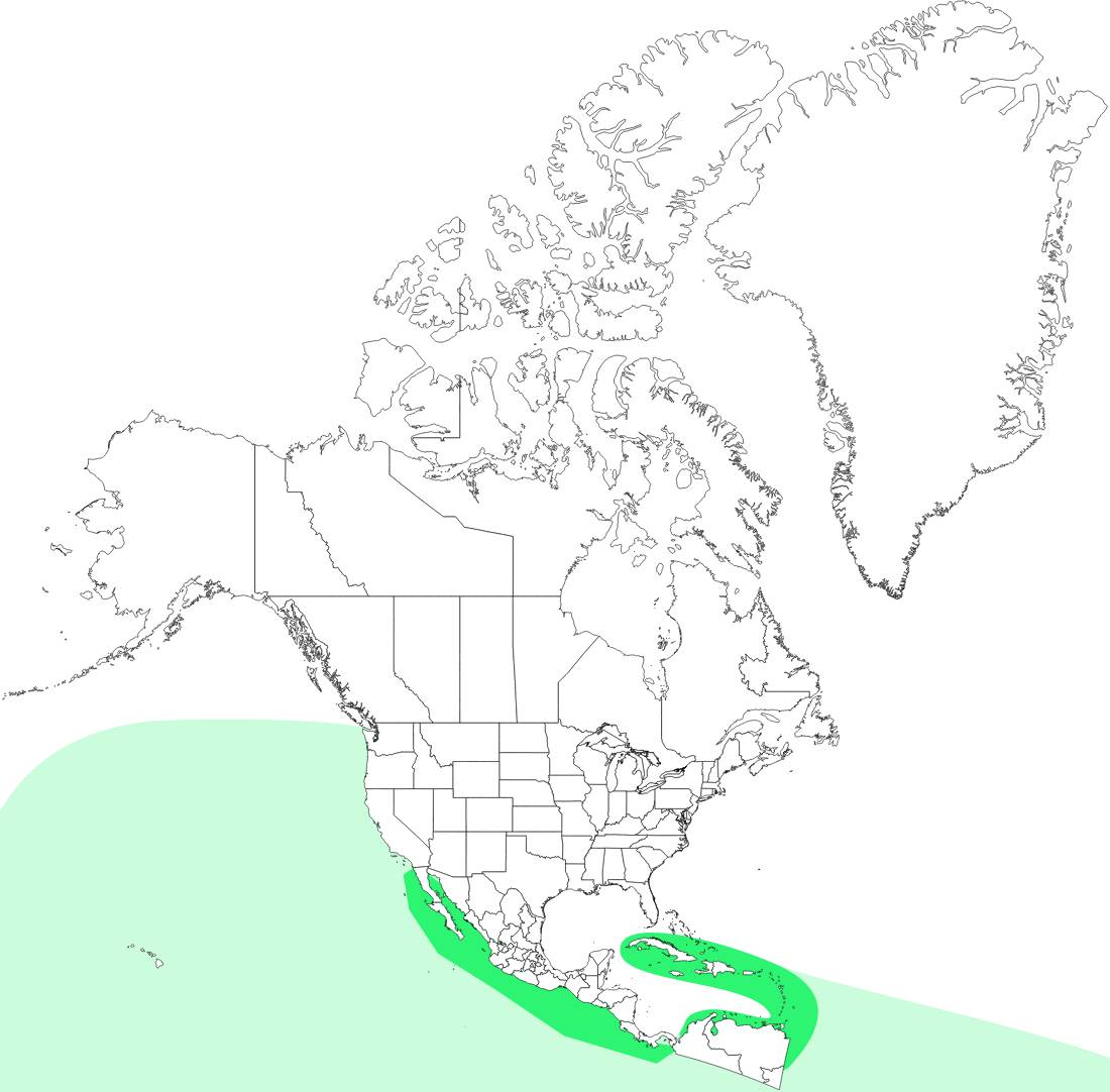 Range map for Olive Ridley Sea Turtle