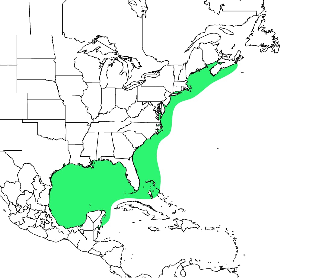 Range map for Kemp's Ridley Sea Turtle