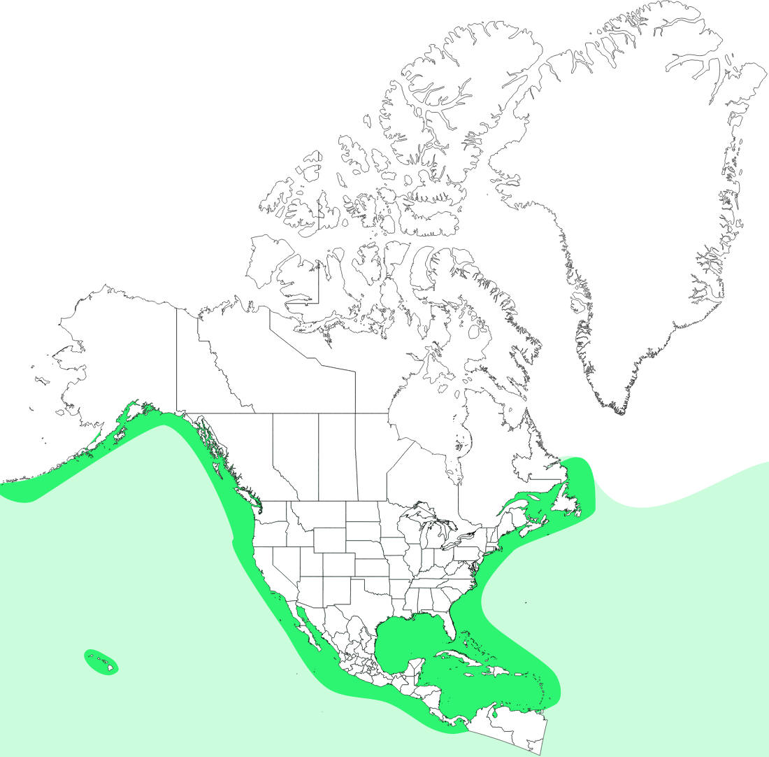 Range map for Leatherback Sea Turtle