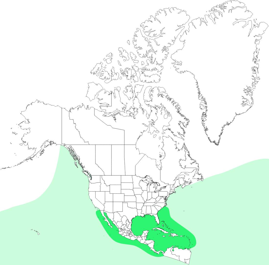 Range map for Green Sea Turtle