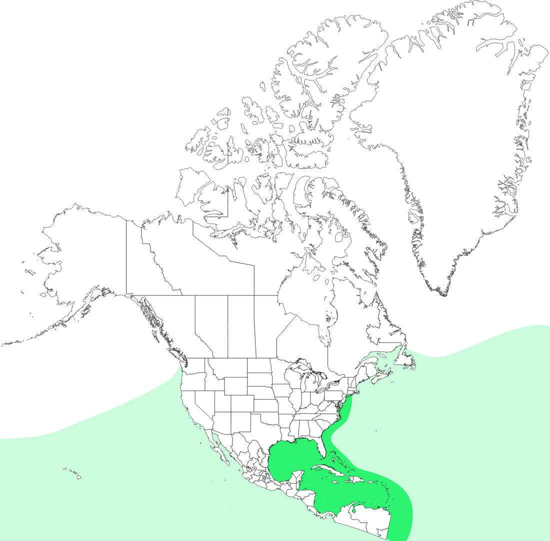 Range map for Loggerhead Sea Turtle