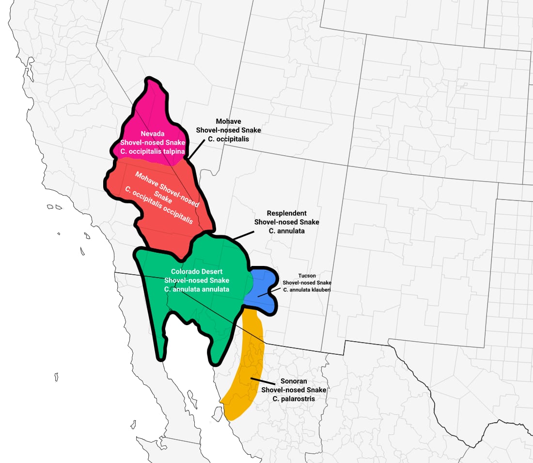 Range map for Sonoran Shovel-nosed Snake