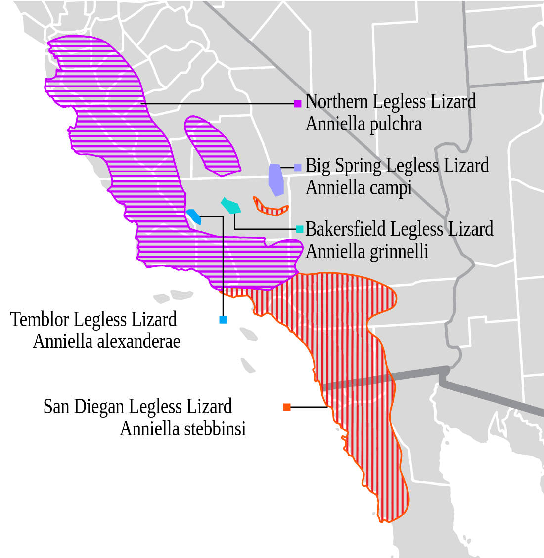 Range map for Big Spring Legless Lizard
