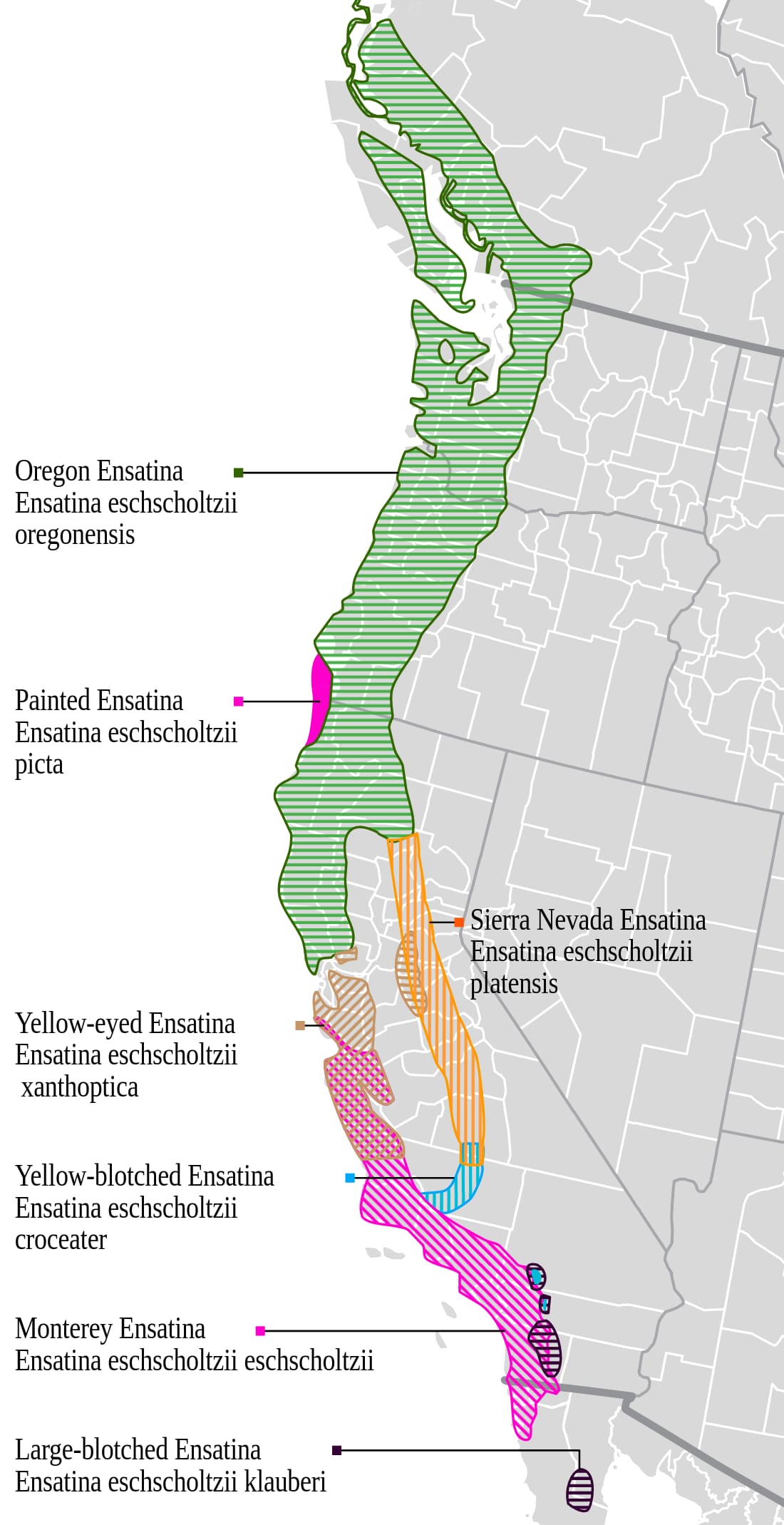 Range map for Ensatina
