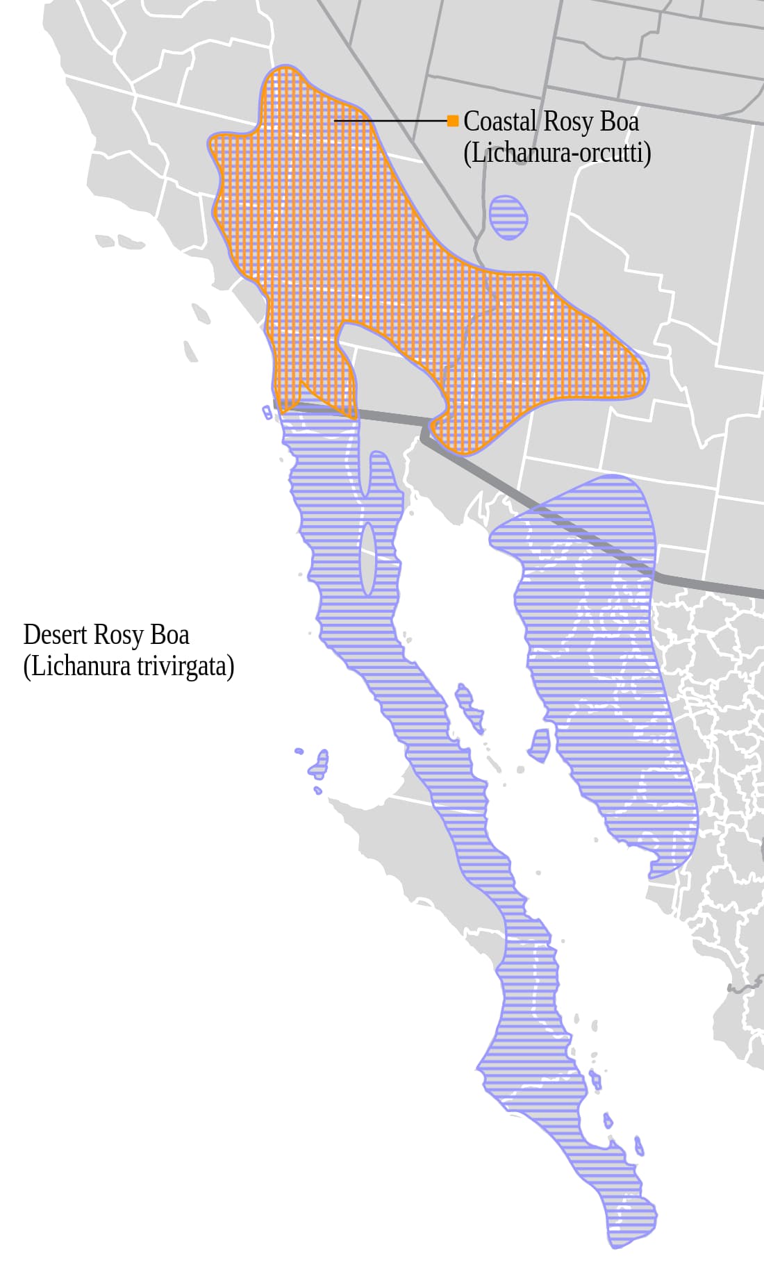 Range map for Coastal Rosy Boa