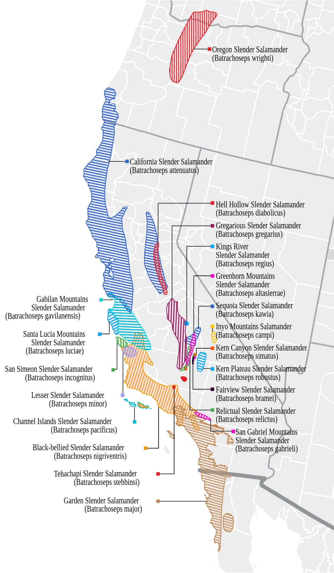 Range map for Oregon Slender Salamander