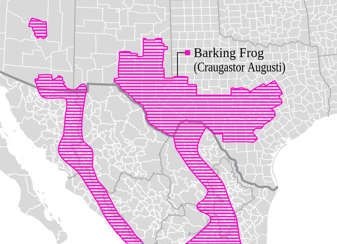 Range map for Barking Frog