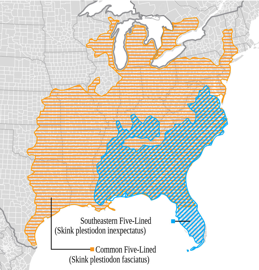 Range map for Southeastern Five-lined Skink