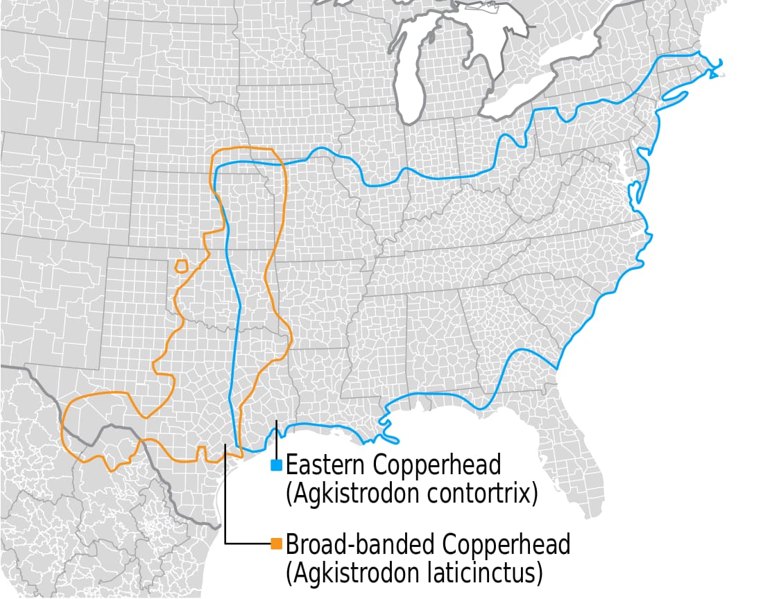 Range map for Eastern Copperhead