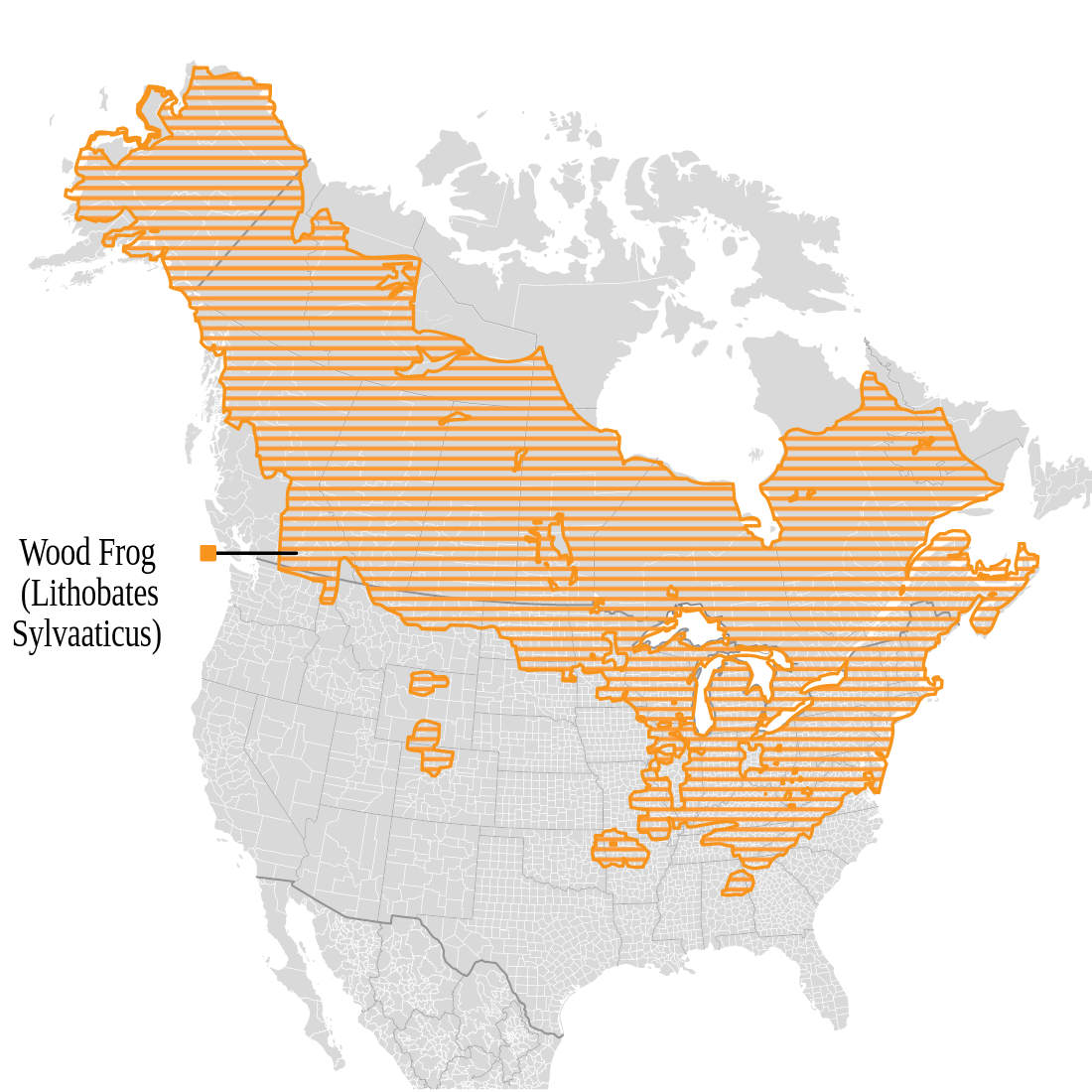 Range map for Wood Frog