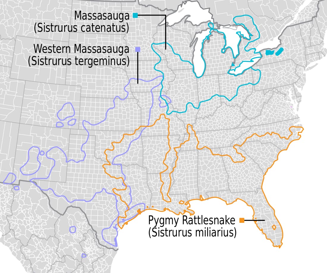 Range map for Western Massasauga