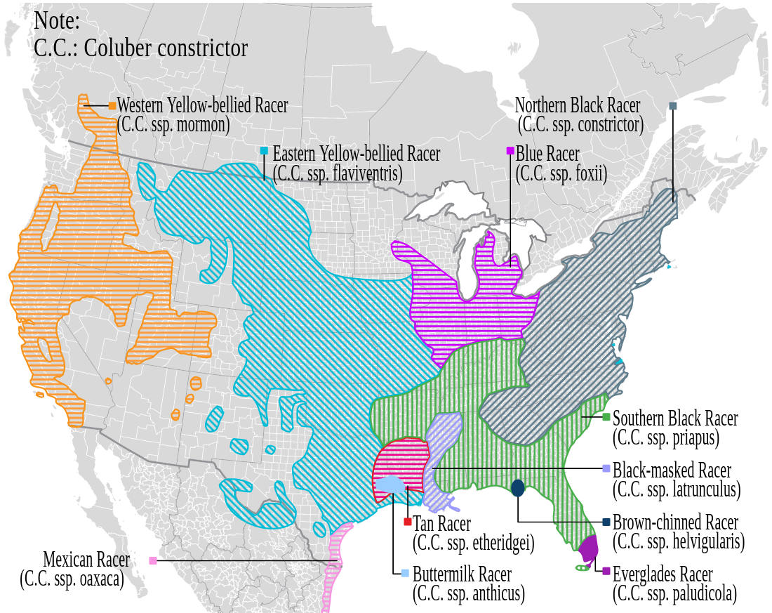 Range map for North American Racer