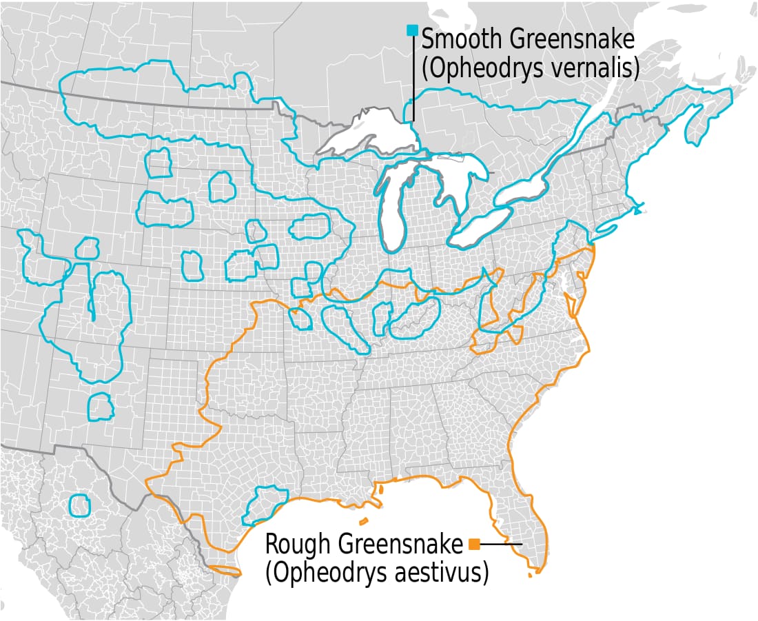 Range map for Smooth Greensnake
