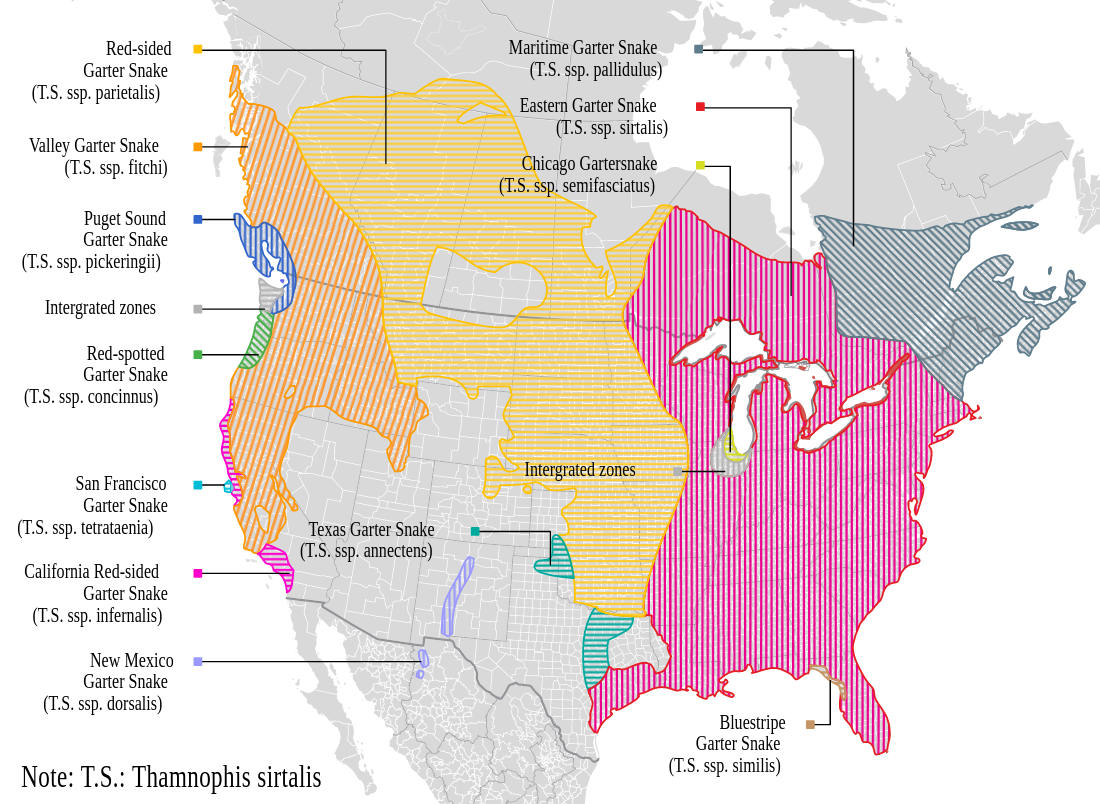 Range map for Common Garter Snake
