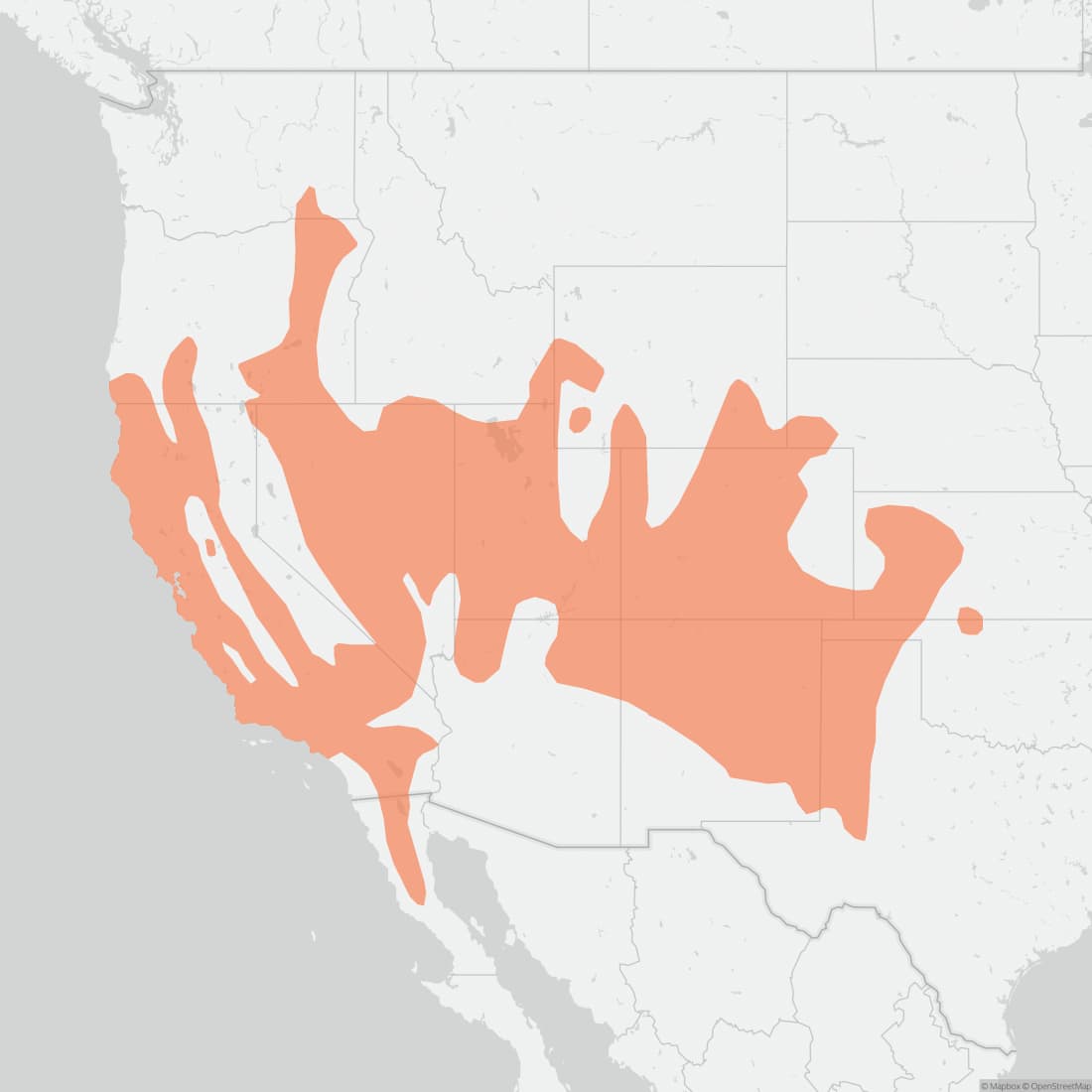 Range map for Pinyon Mouse