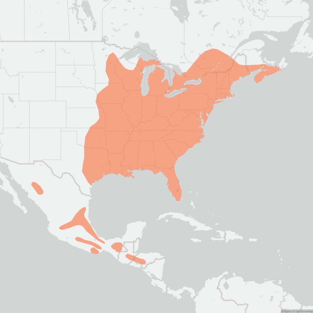 Range map for Southern Flying Squirrel