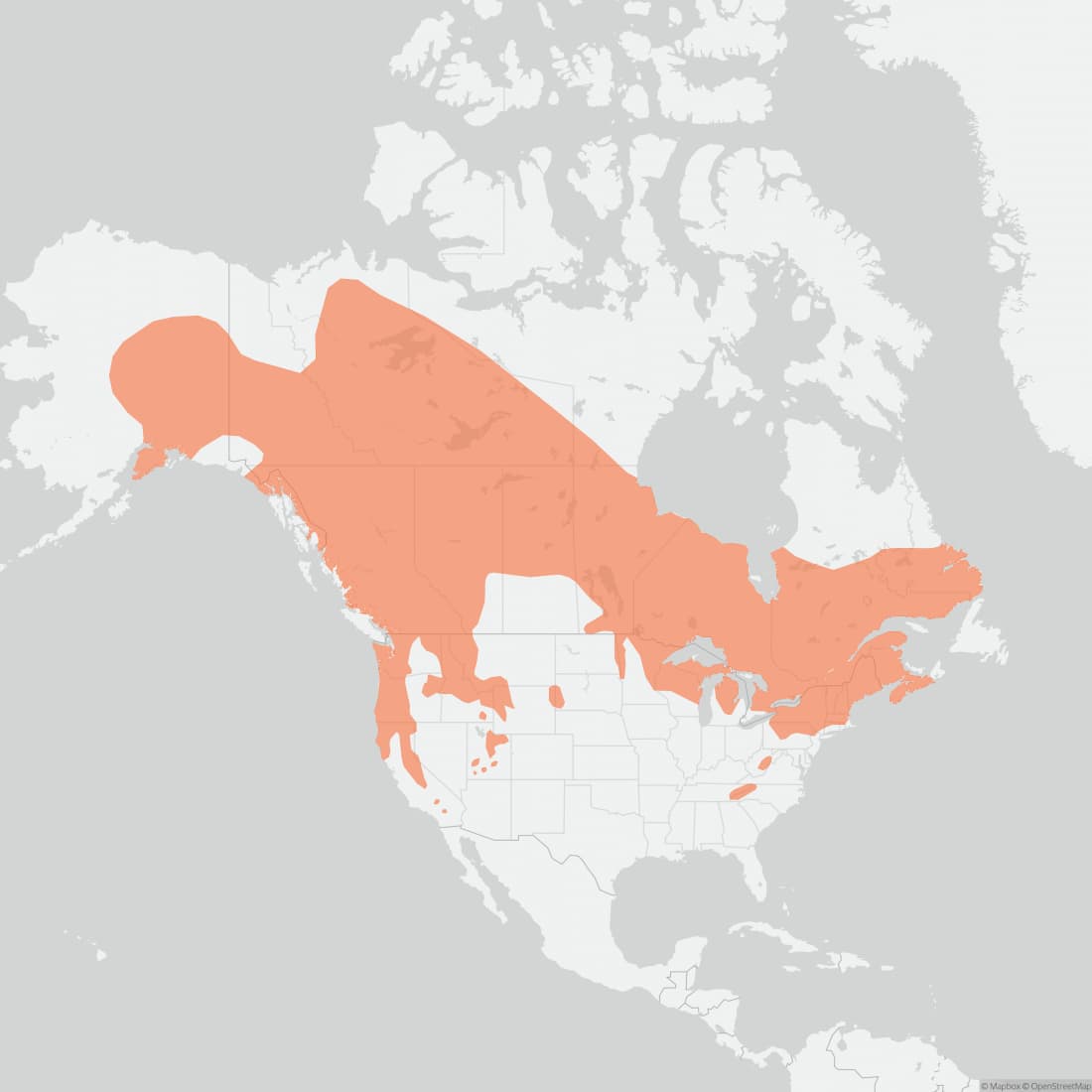 Range map for Northern Flying Squirrel