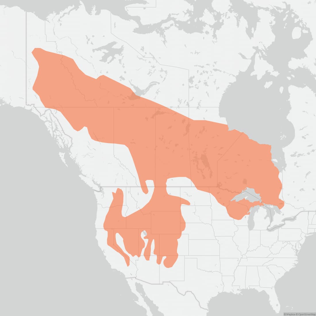 Range map for Least Chipmunk