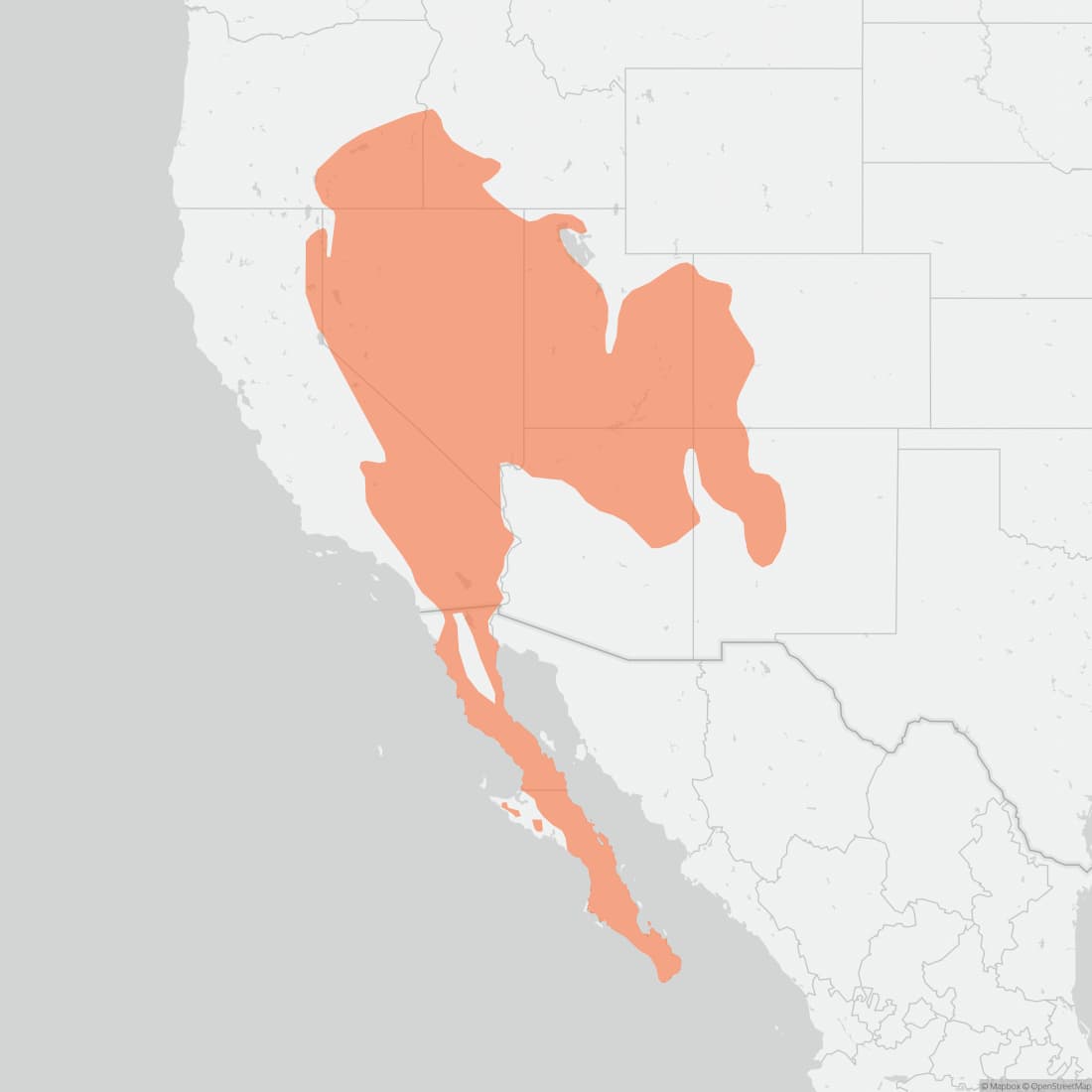 Range map for White-tailed Antelope Squirrel