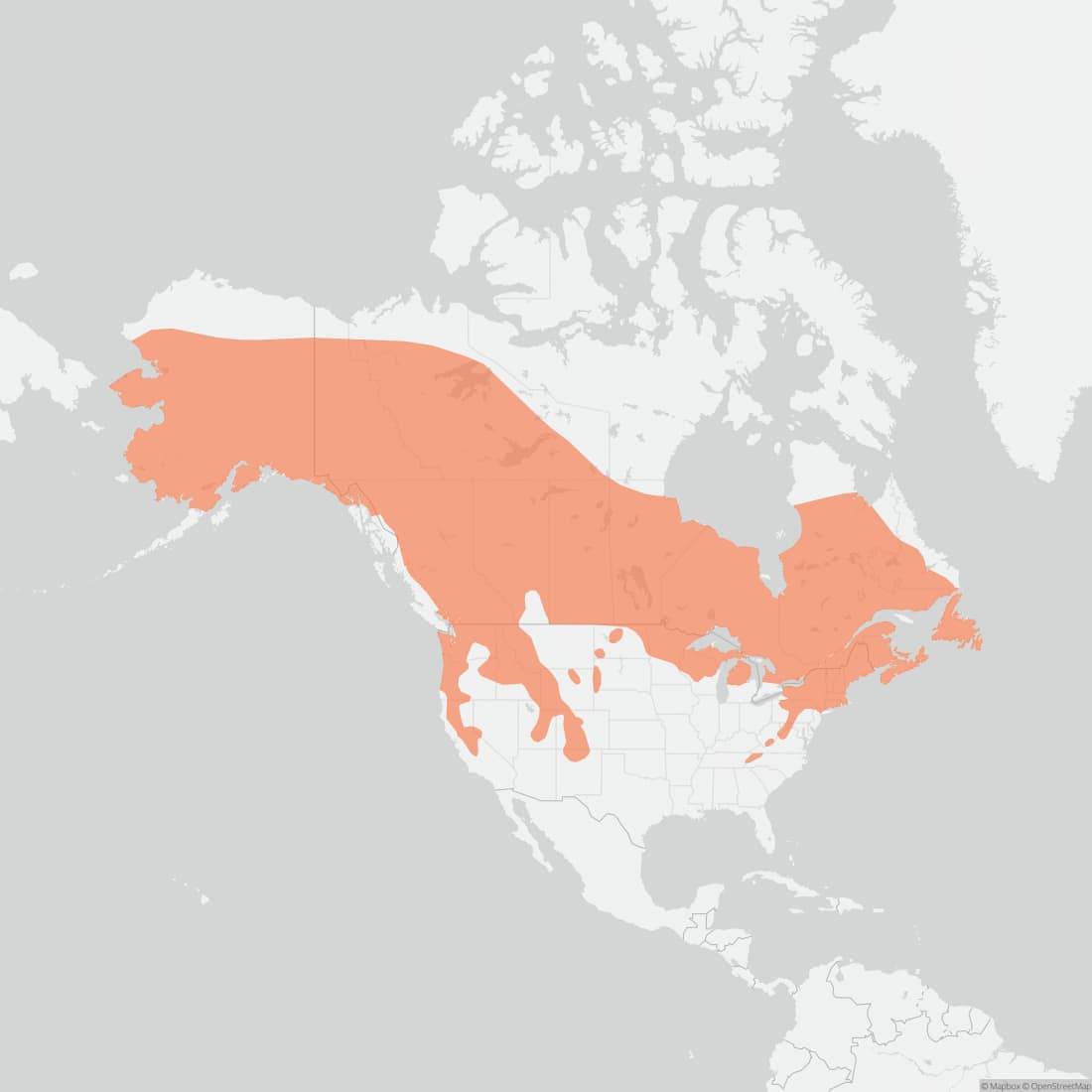 Range map for Snowshoe Hare