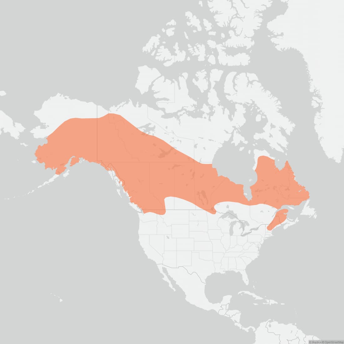 Range map for Northern Bog Lemming