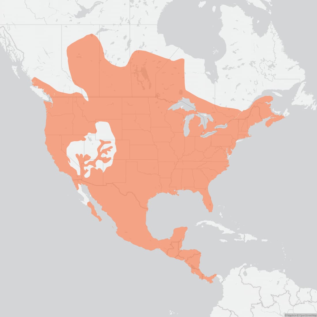 Range map for Common Raccoon