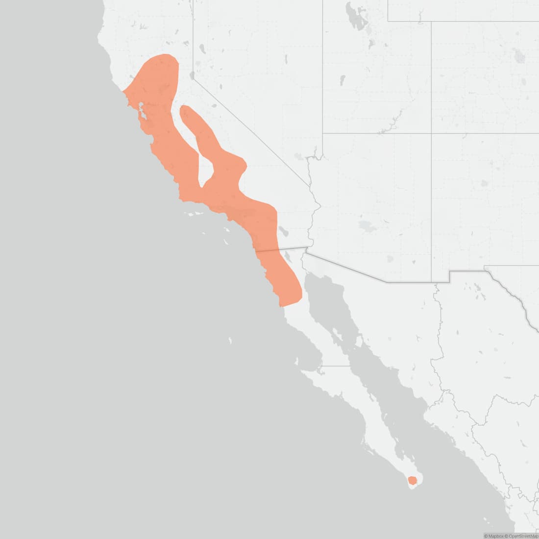 Range map for Ornate Shrew