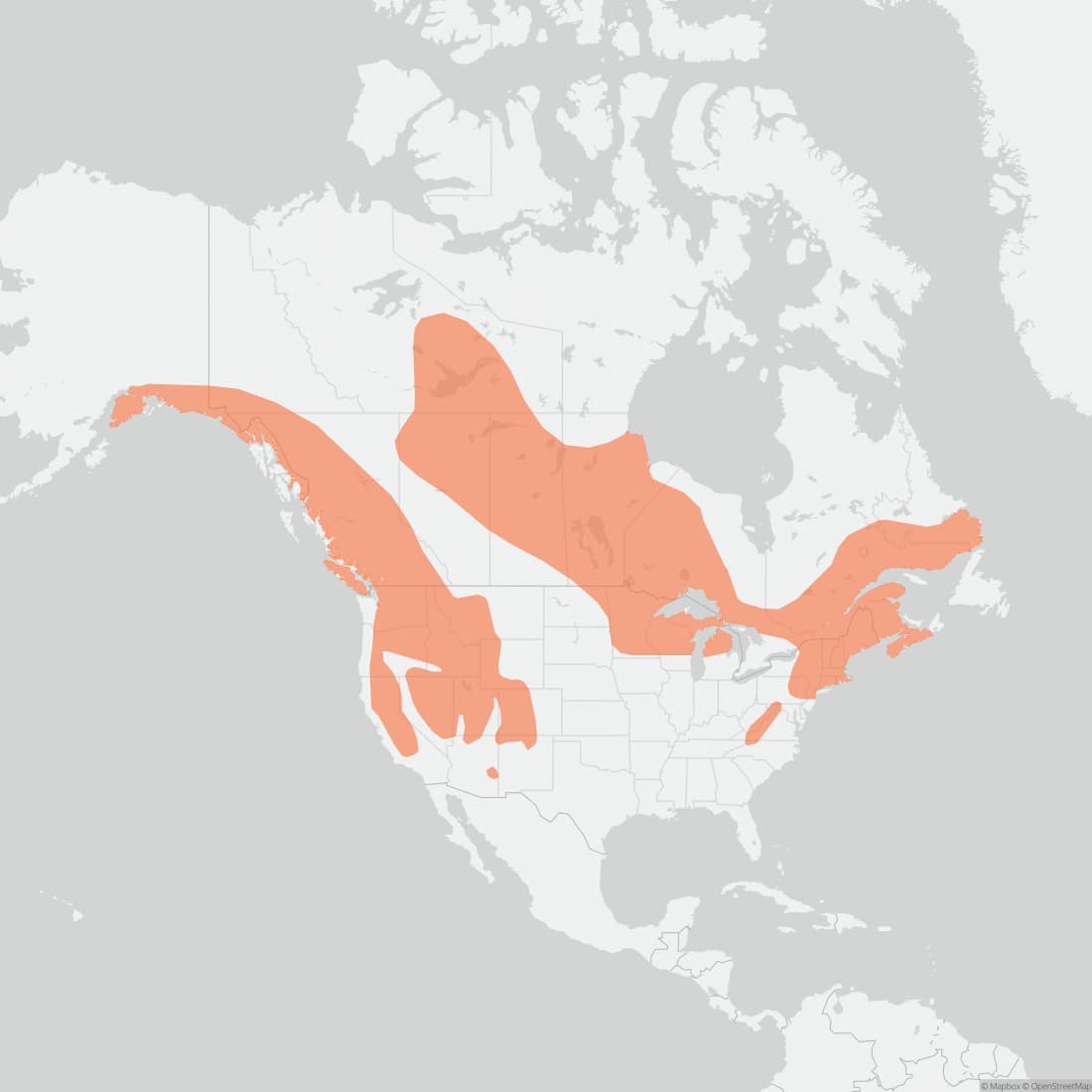 Range map for American Water Shrew
