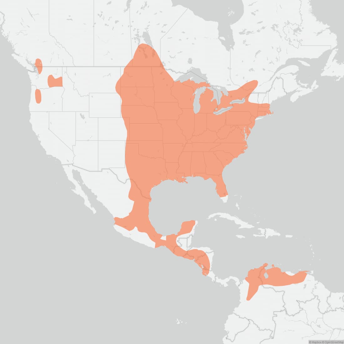 Range map for Eastern Cottontail