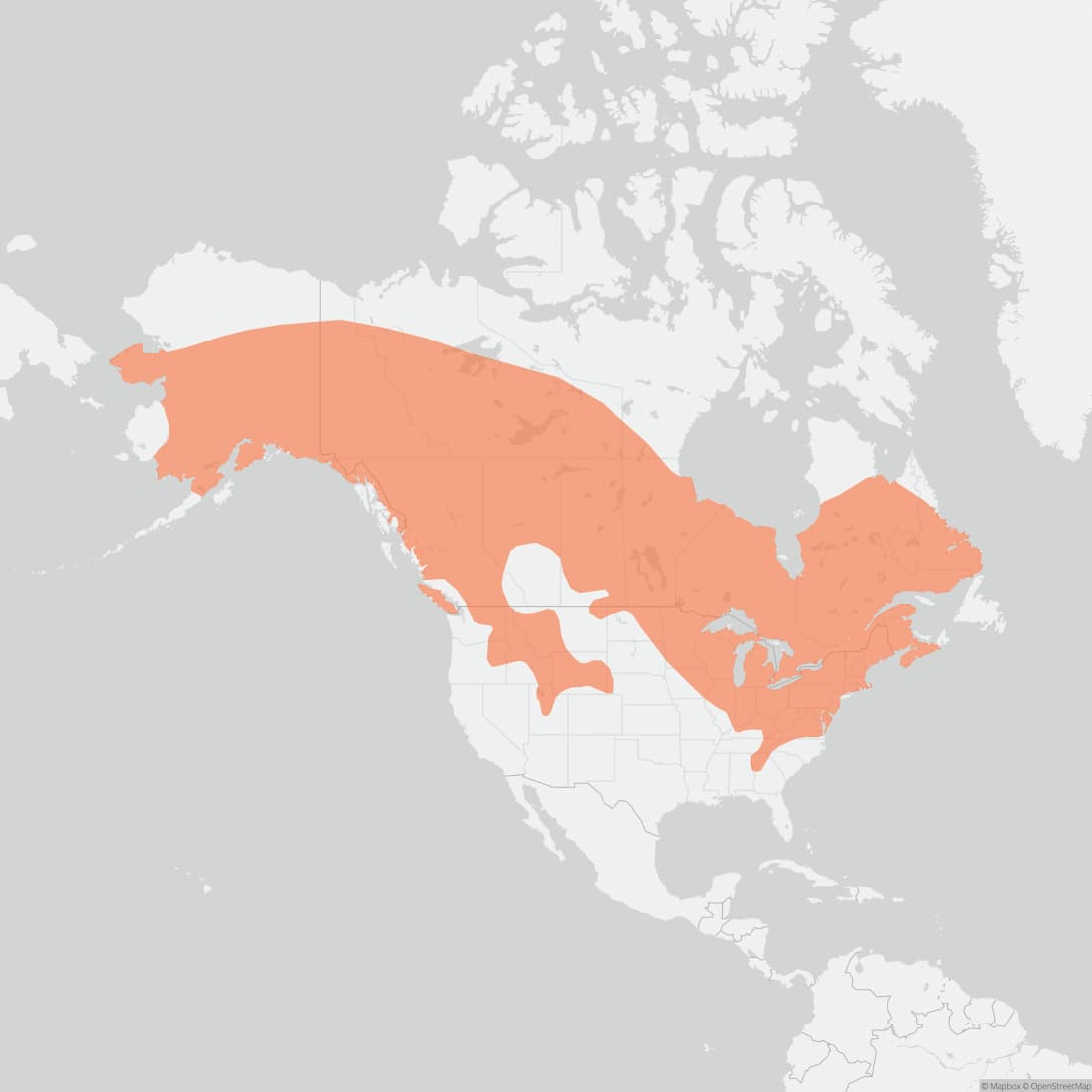 Range map for American Red Squirrel