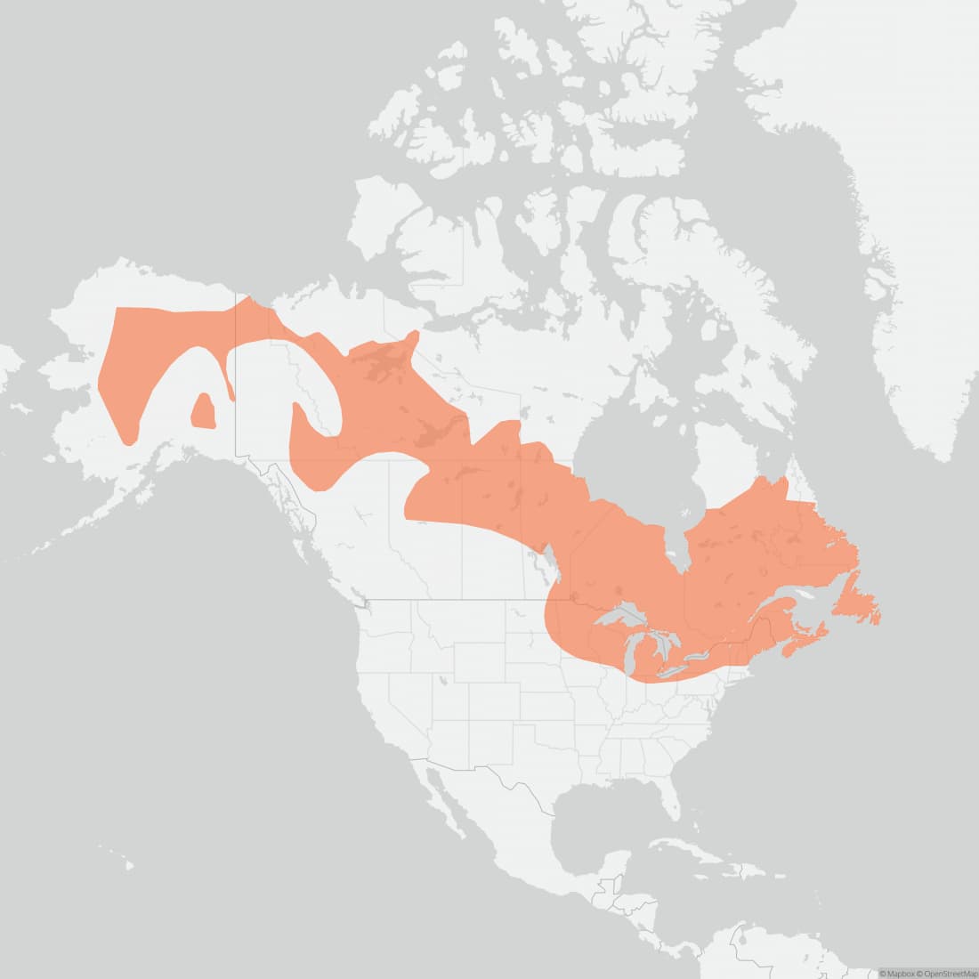 Range map for American Marten