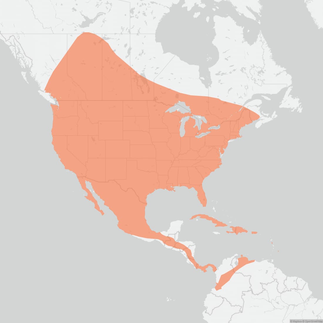 Range map for Big Brown Bat