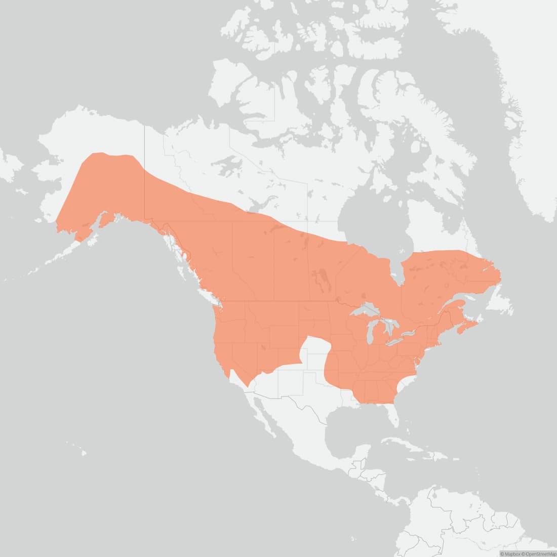 Range map for Little Brown Bat
