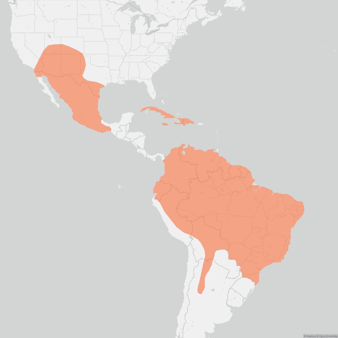 Range map for Big Free-tailed Bat