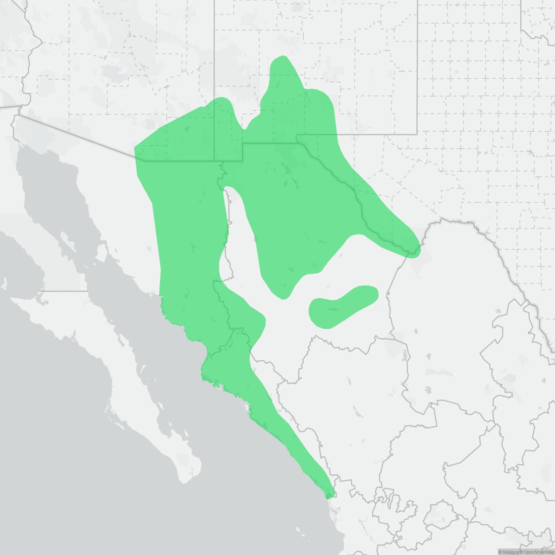 Range map for Big Bend Patch-nosed Snake