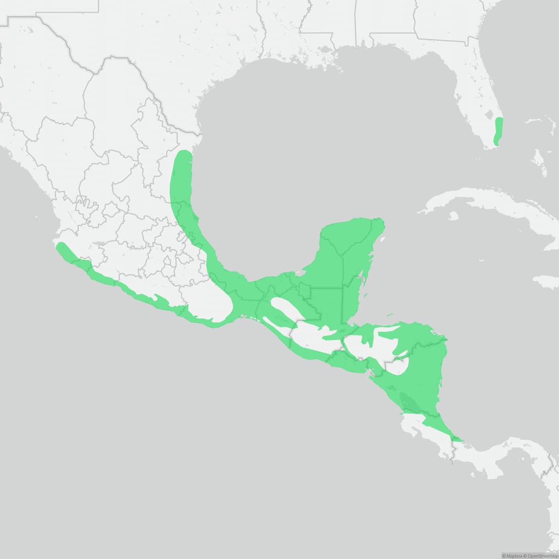Range map for Brown Basilisk