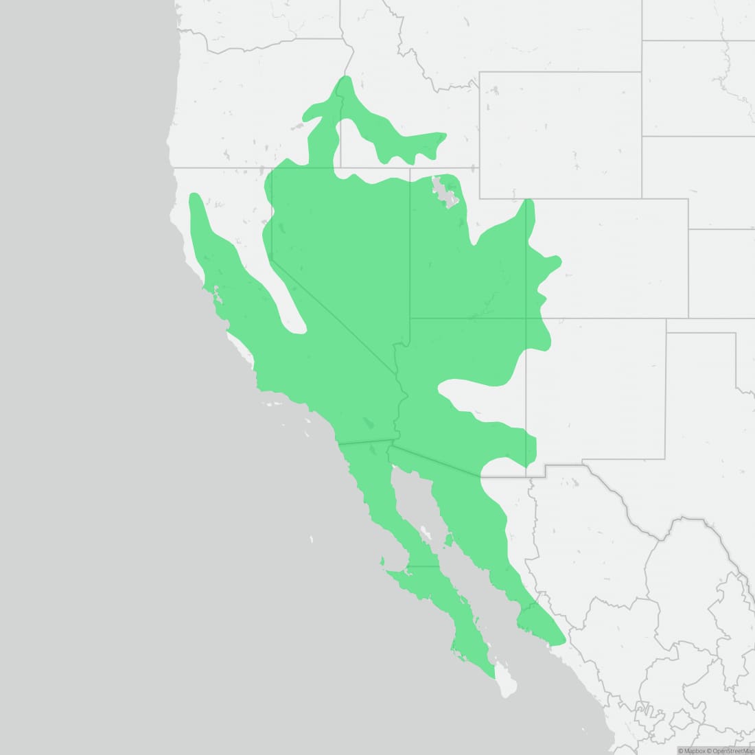 Range map for Western Whiptail