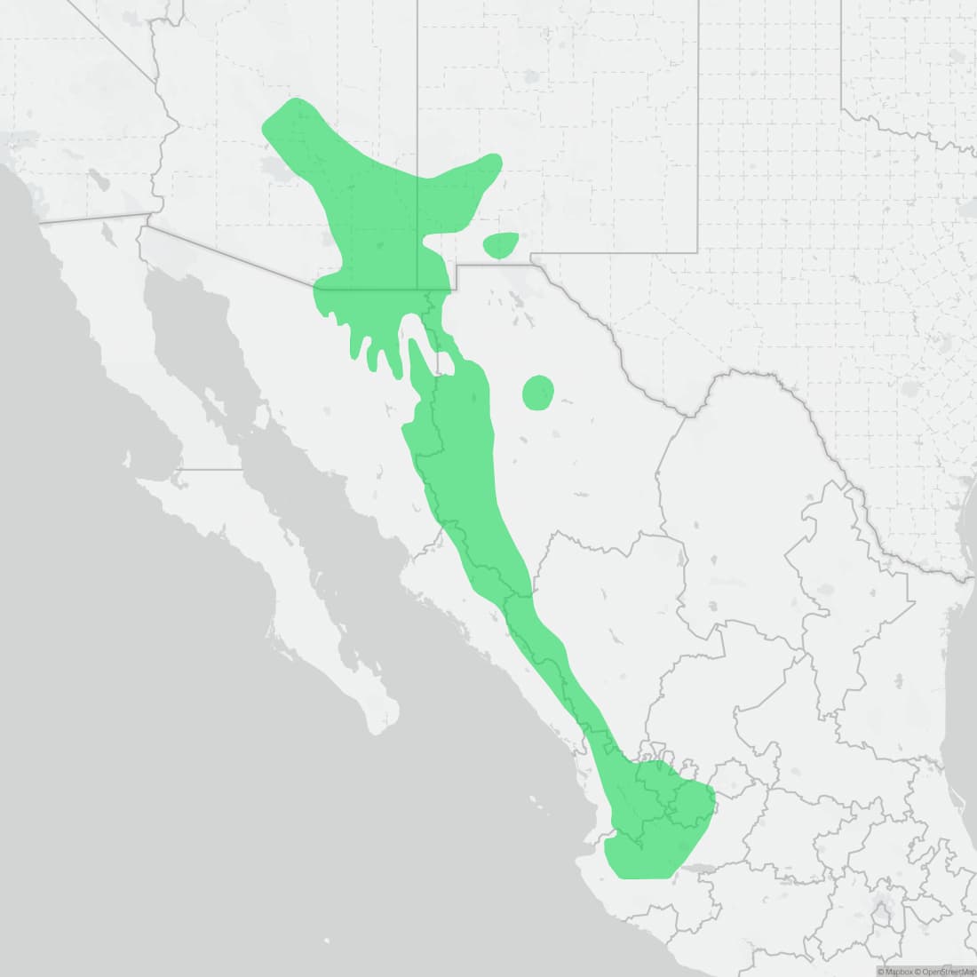 Range map for Arizona Alligator Lizard