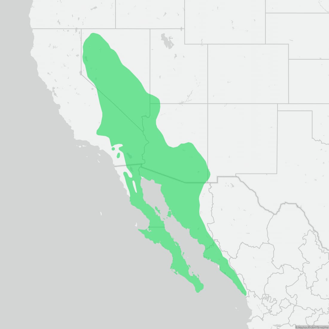 Range map for Zebra-tailed Lizard