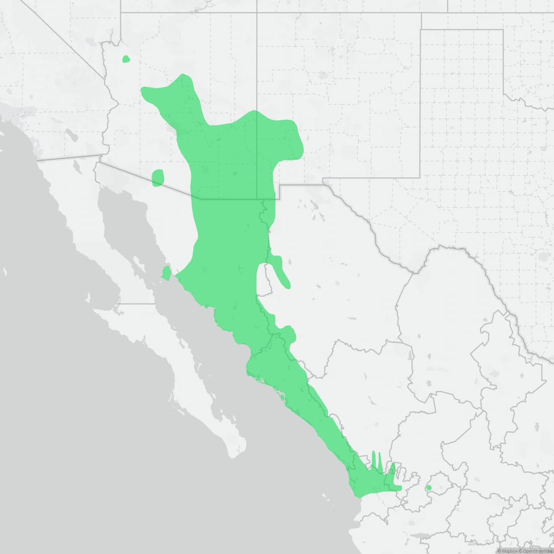 Range map for Clark's Spiny Lizard