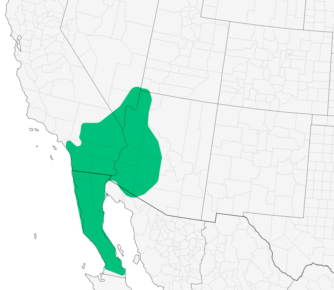 Range map for Southwestern Speckled Rattlesnake