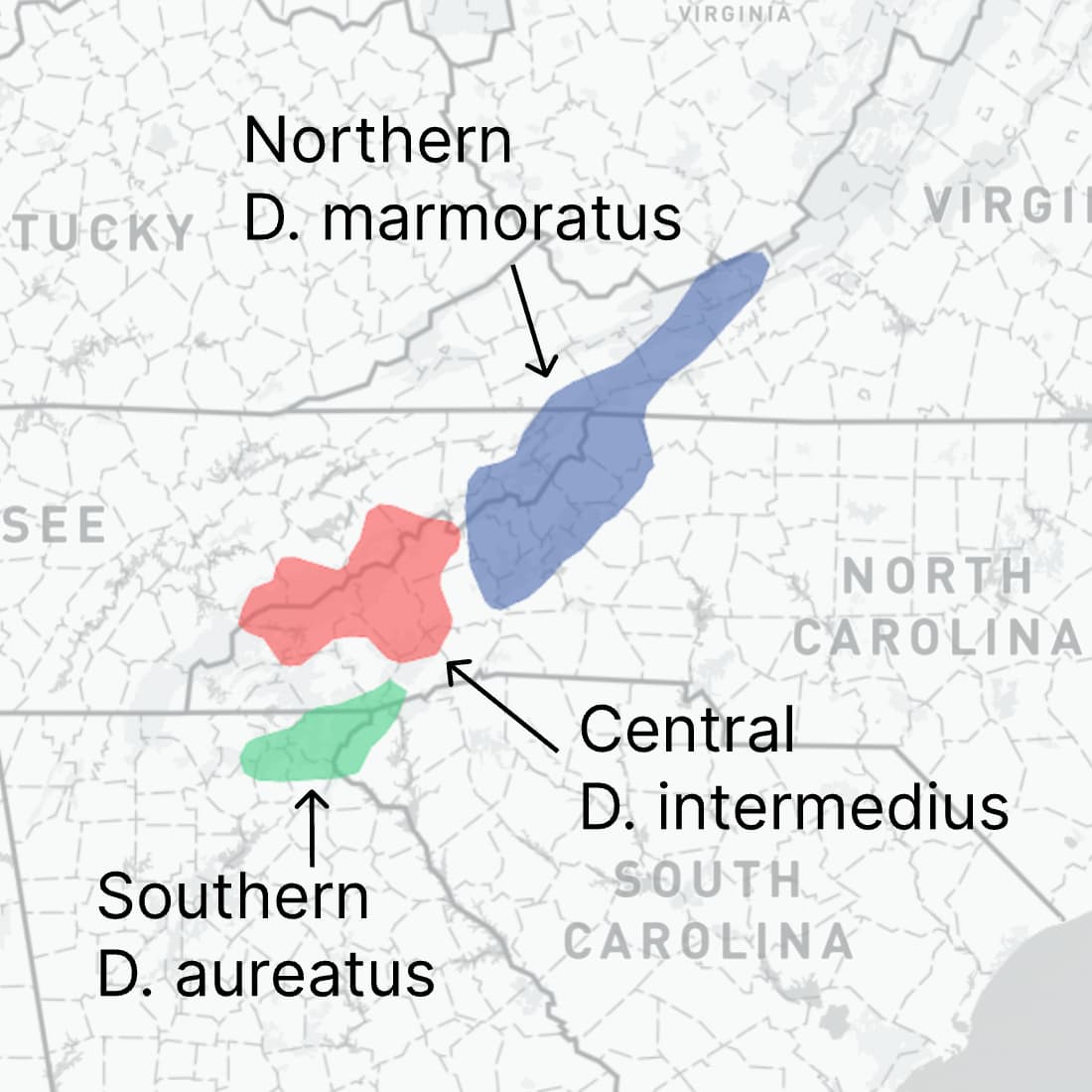 Range map for Central Shovel-nosed Salamander